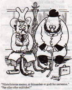 dagens-flue.jpg